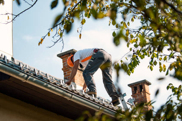 Best Rubber Roofing (EPDM, TPO)  in Red Bud, IL
