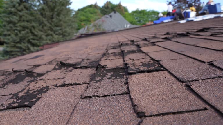 Fast & Reliable Emergency Roof Repairs in Red Bud, IL